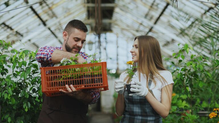 Tips for Creating a Sustainable Home Garden Year-Round